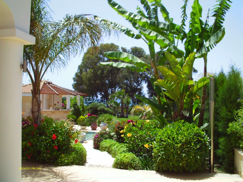 Green Forest - Cyprus' leading landscaping company - project 022 3 2