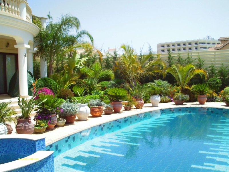 Green Forest - Cyprus' leading landscaping company - project 022 4 1