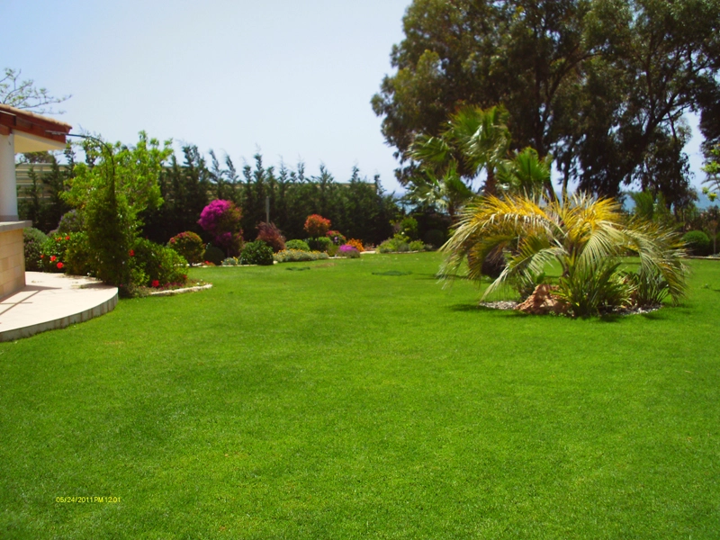 Green Forest - Cyprus' leading landscaping company - project 022 5 2