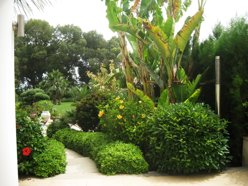 Green Forest - Cyprus' leading landscaping company - project 022 9