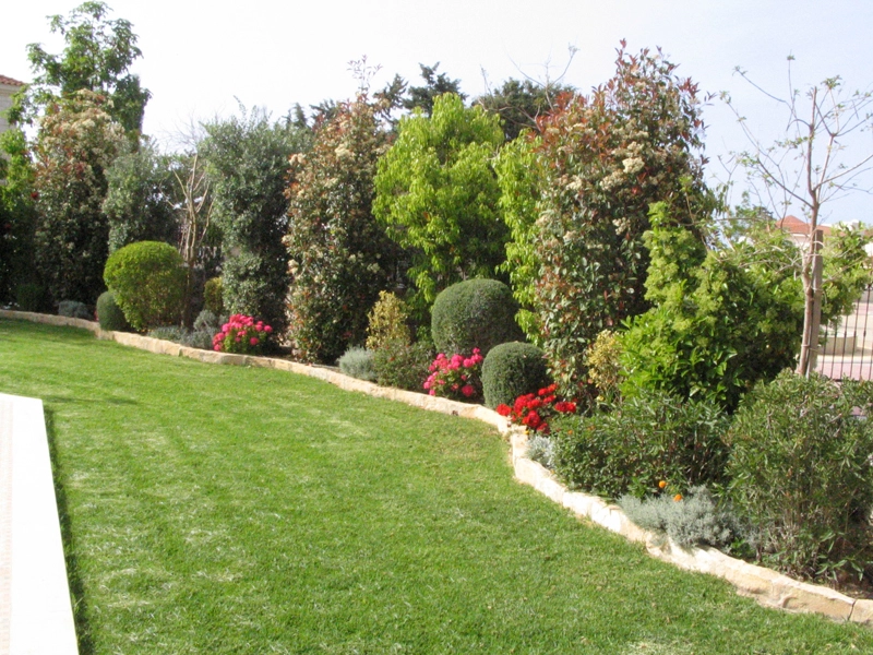 Green Forest - Cyprus' leading landscaping company - project 023 3 2