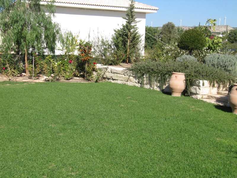 Green Forest - Cyprus' leading landscaping company - project 024 10 2