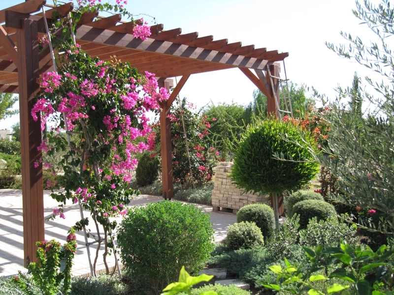 Green Forest - Cyprus' leading landscaping company - project 024 12 2
