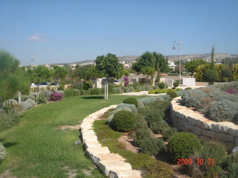 Green Forest - Cyprus' leading landscaping company - project 024 2 2