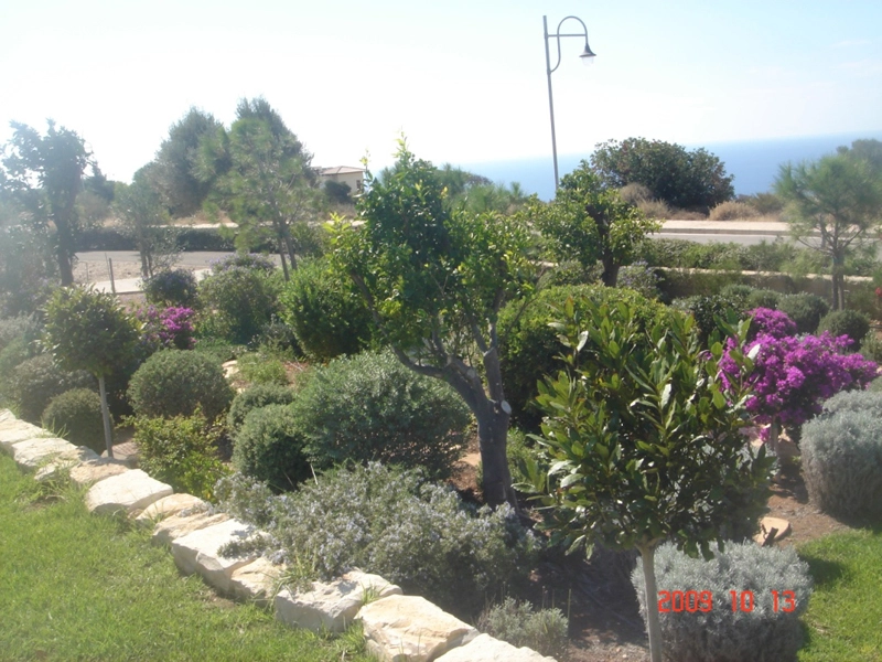 Green Forest - Cyprus' leading landscaping company - project 024 4 2