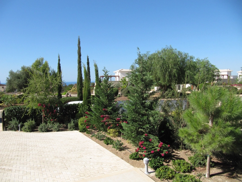 Green Forest - Cyprus' leading landscaping company - project 024 7