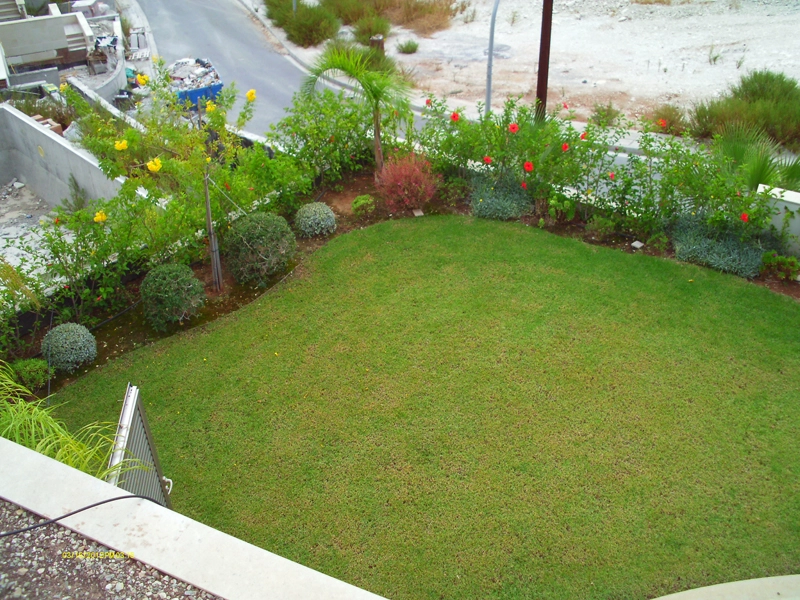 Green Forest - Cyprus' leading landscaping company - project 025 20