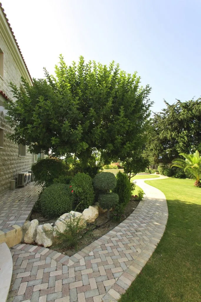 Green Forest - Cyprus' leading landscaping company - project 027 20