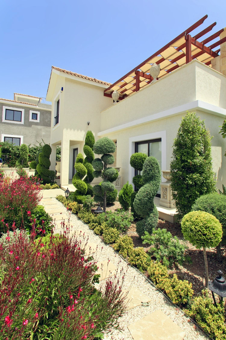 Green Forest - Cyprus' leading landscaping company - project 028 10 2