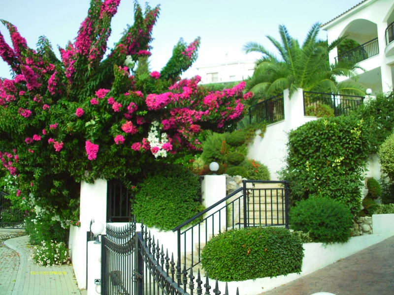 Green Forest - Cyprus' leading landscaping company - project 030 1