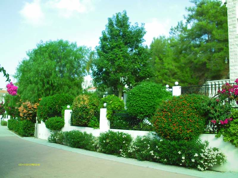 Green Forest - Cyprus' leading landscaping company - project 030 4 2