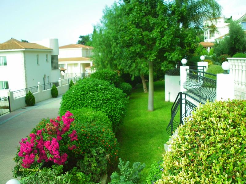 Green Forest - Cyprus' leading landscaping company - project 030 5 1