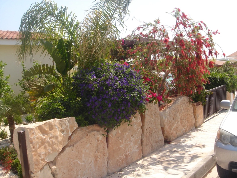 Green Forest - Cyprus' leading landscaping company - project 033 1 2