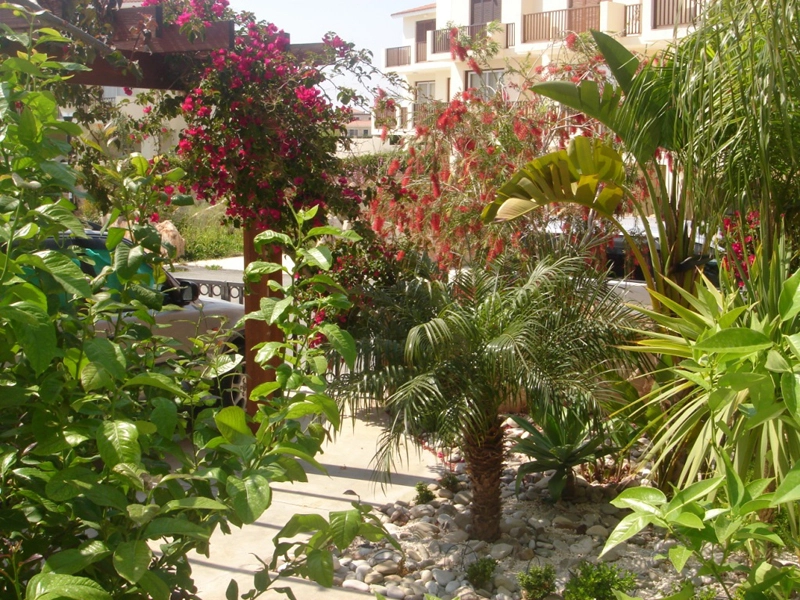 Green Forest - Cyprus' leading landscaping company - project 033 4 2