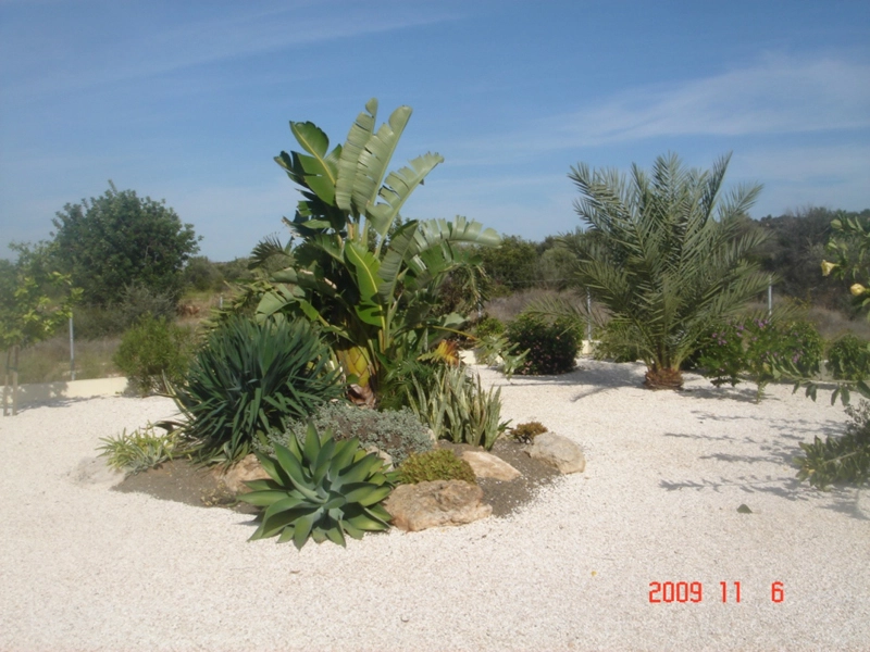 Green Forest - Cyprus' leading landscaping company - project 035 23 3