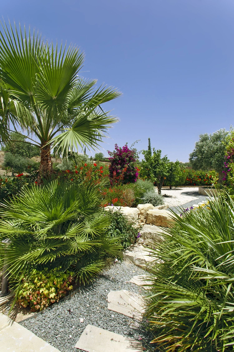 Green Forest - Cyprus' leading landscaping company - project 036 14 3
