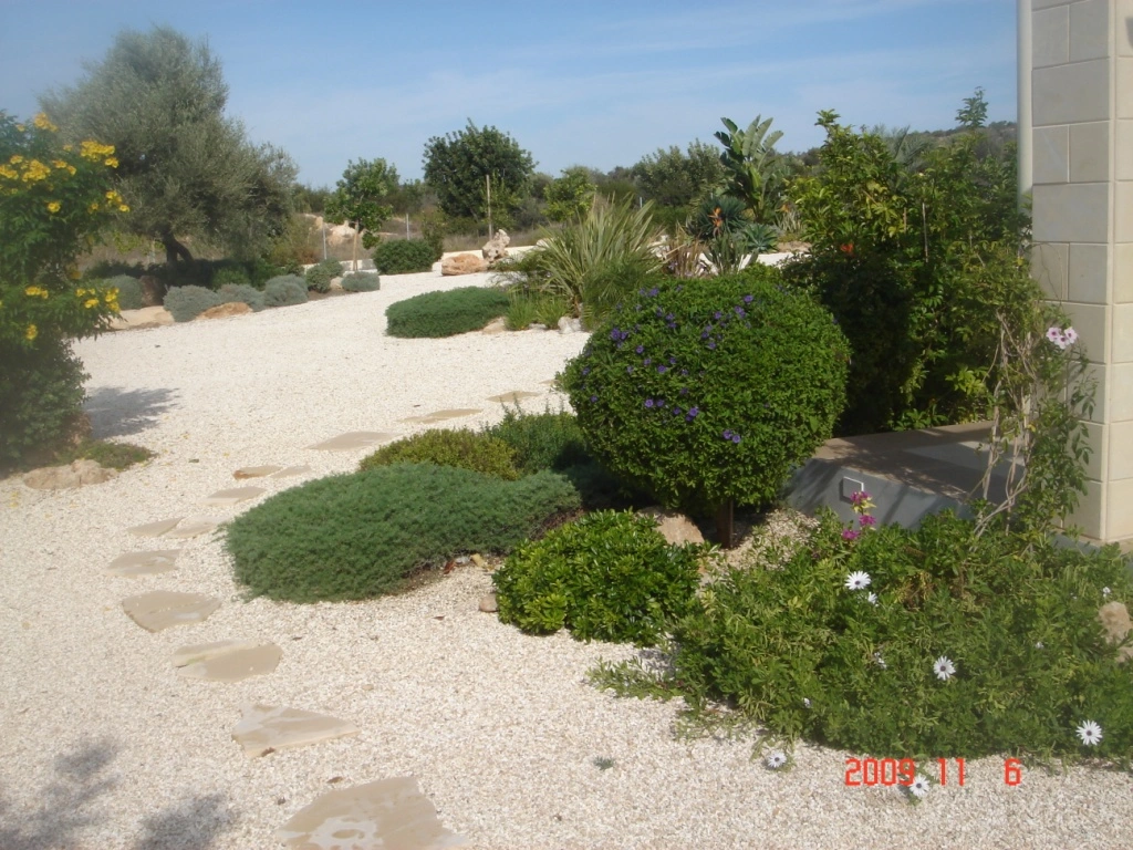 Green Forest - Cyprus' leading landscaping company - project 039 3
