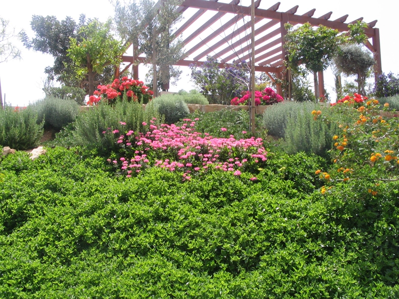Green Forest - Cyprus' leading landscaping company - project 040 2 2