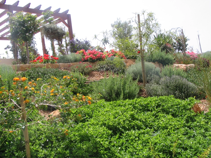 Green Forest - Cyprus' leading landscaping company - project 040 3 2