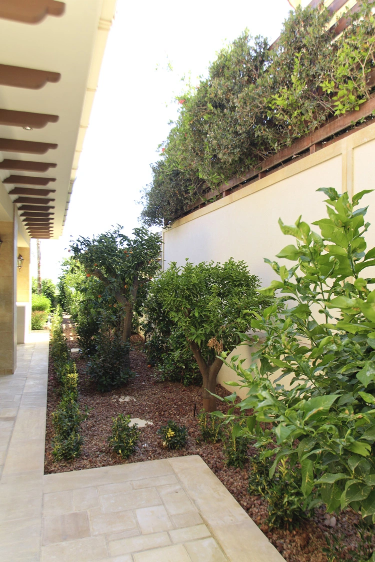 Green Forest - Cyprus' leading landscaping company - project 042 12 1