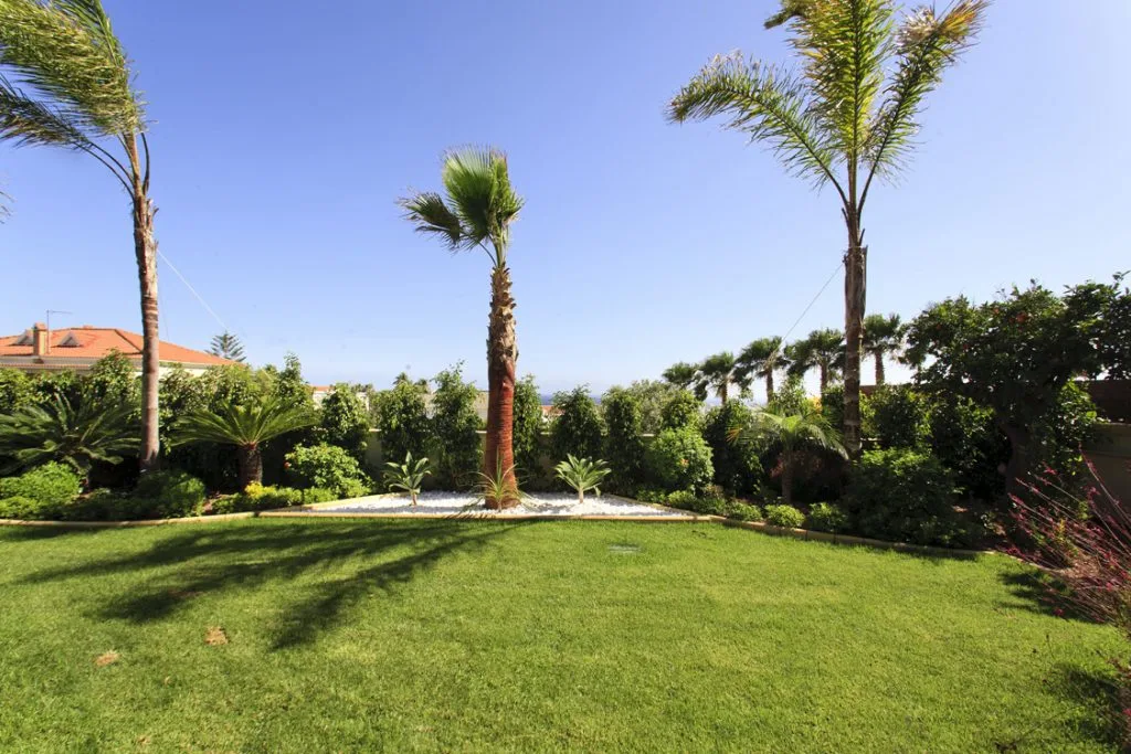 Green Forest - Cyprus' leading landscaping company - project 042 18 1