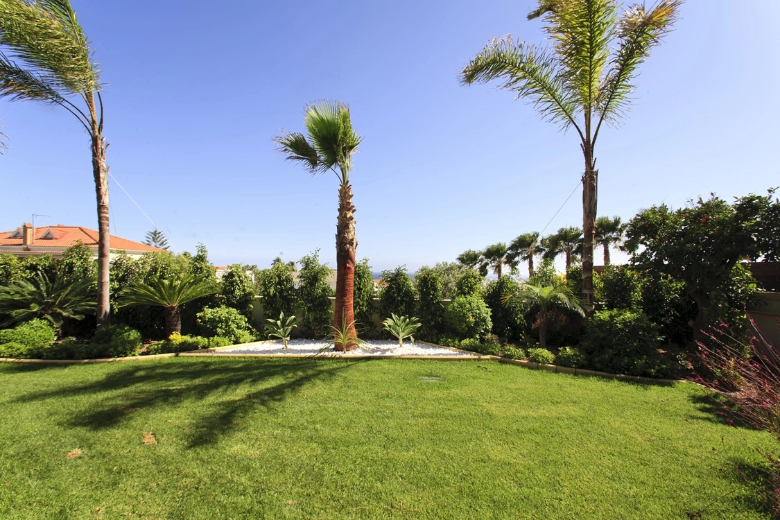Green Forest - Cyprus' leading landscaping company - project 042 18 1