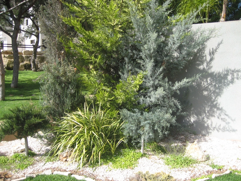 Green Forest - Cyprus' leading landscaping company - project 045 9