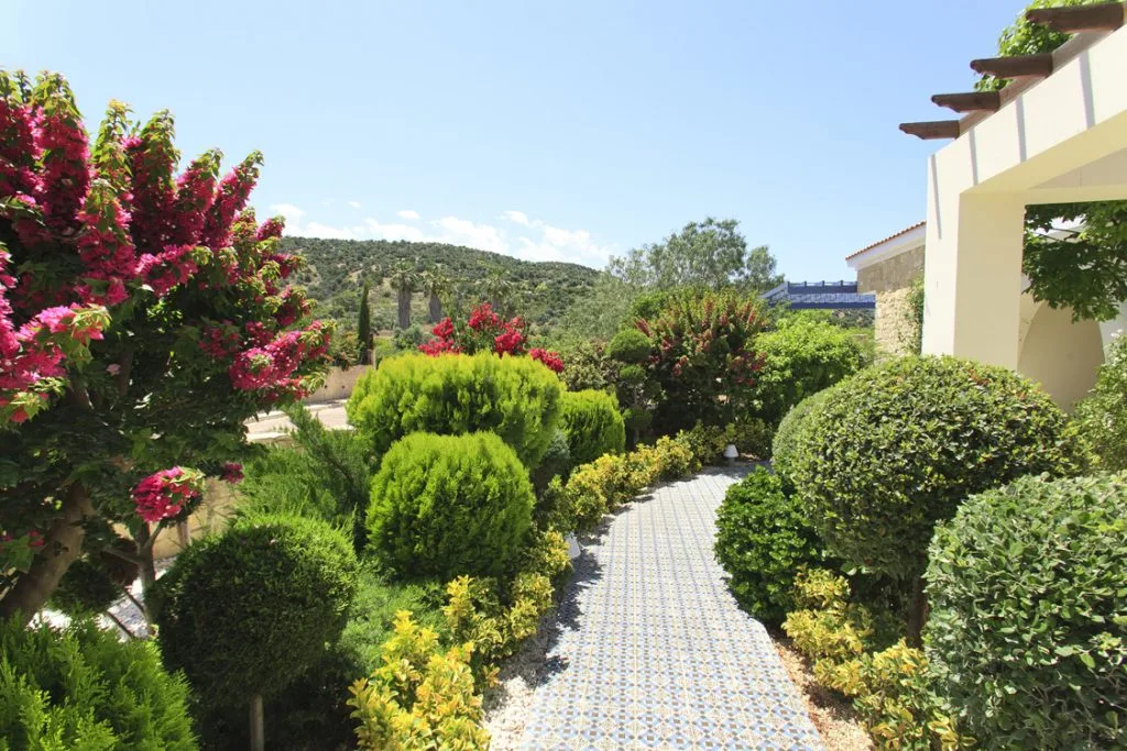 Green Forest - Cyprus' leading landscaping company - project 046 46 2