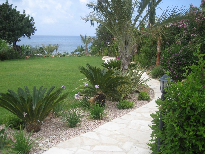 Green Forest - Cyprus' leading landscaping company - project 046 60 1