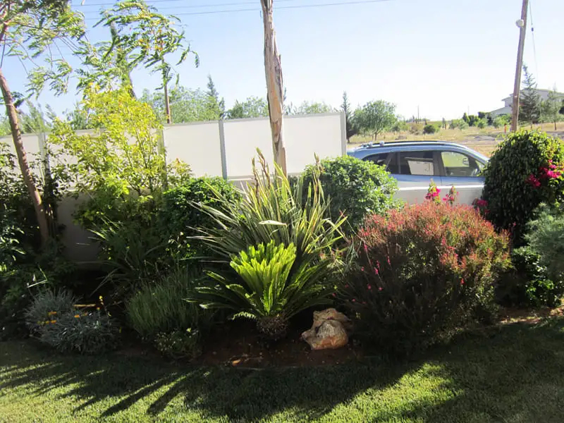 Green Forest - Cyprus' leading landscaping company - project 052 10