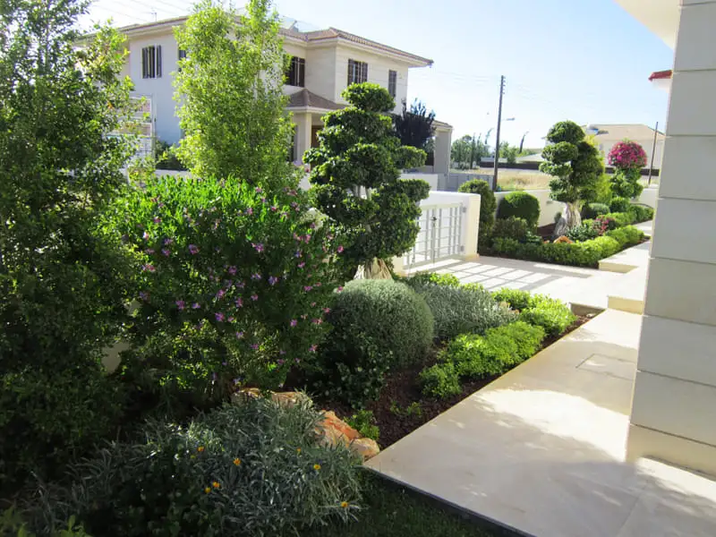 Green Forest - Cyprus' leading landscaping company - project 052 11 2