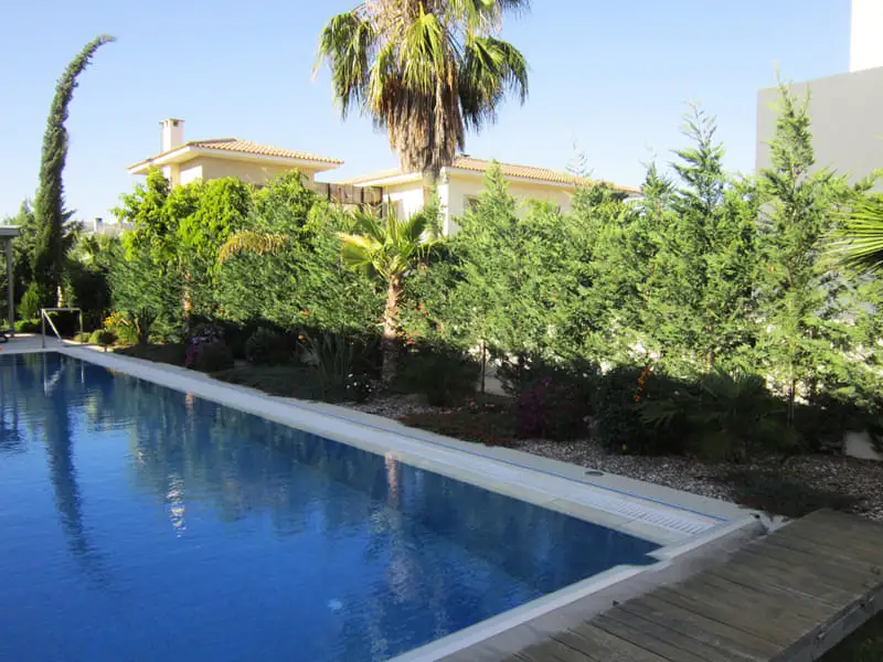 Green Forest - Cyprus' leading landscaping company - project 052 6 2