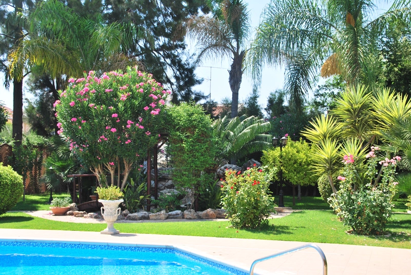 Green Forest - Cyprus' leading landscaping company - project062 14 1
