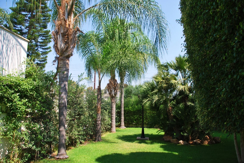 Green Forest - Cyprus' leading landscaping company - project062 3 2
