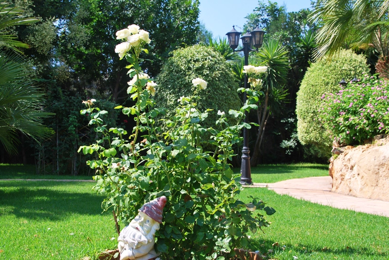 Green Forest - Cyprus' leading landscaping company - project062 5 2