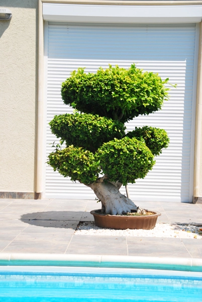 Green Forest - Cyprus' leading landscaping company - project063 12