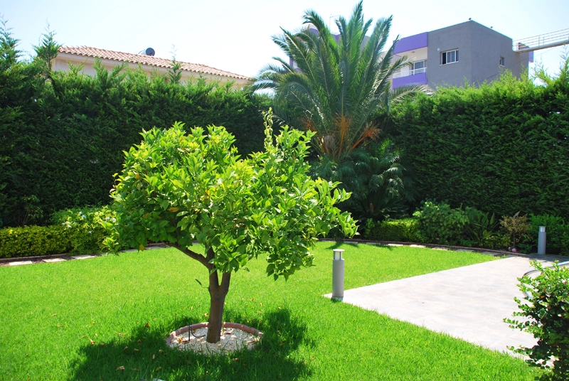 Green Forest - Cyprus' leading landscaping company - project063 13