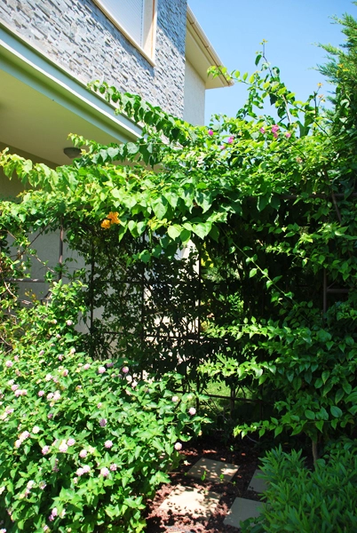 Green Forest - Cyprus' leading landscaping company - project063 15 1