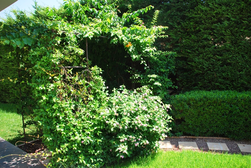 Green Forest - Cyprus' leading landscaping company - project063 16 2