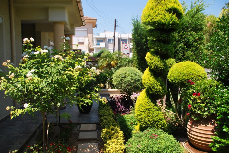Green Forest - Cyprus' leading landscaping company - project063 18 2