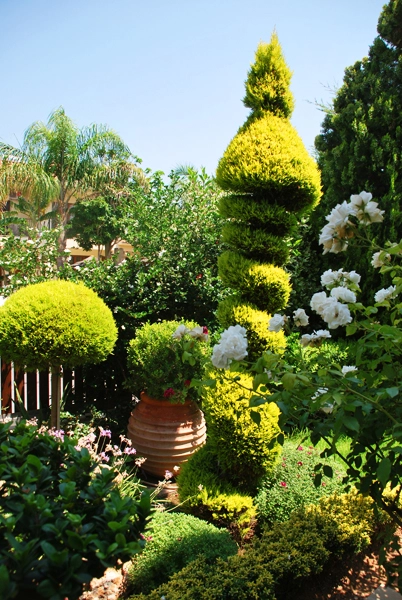 Green Forest - Cyprus' leading landscaping company - project063 19