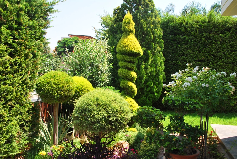 Green Forest - Cyprus' leading landscaping company - project063 20 2