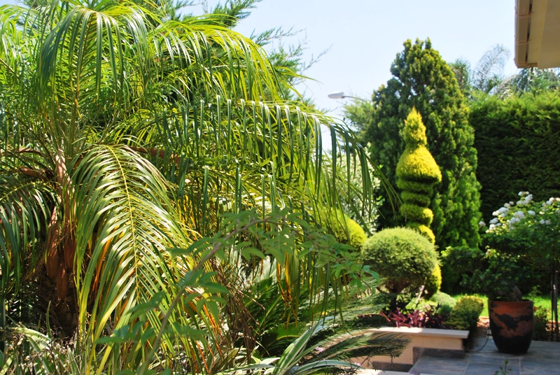 Green Forest - Cyprus' leading landscaping company - project063 22 2