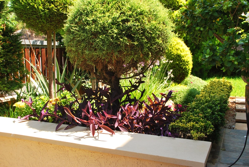 Green Forest - Cyprus' leading landscaping company - project063 23