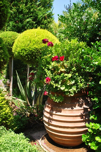 Green Forest - Cyprus' leading landscaping company - project063 24