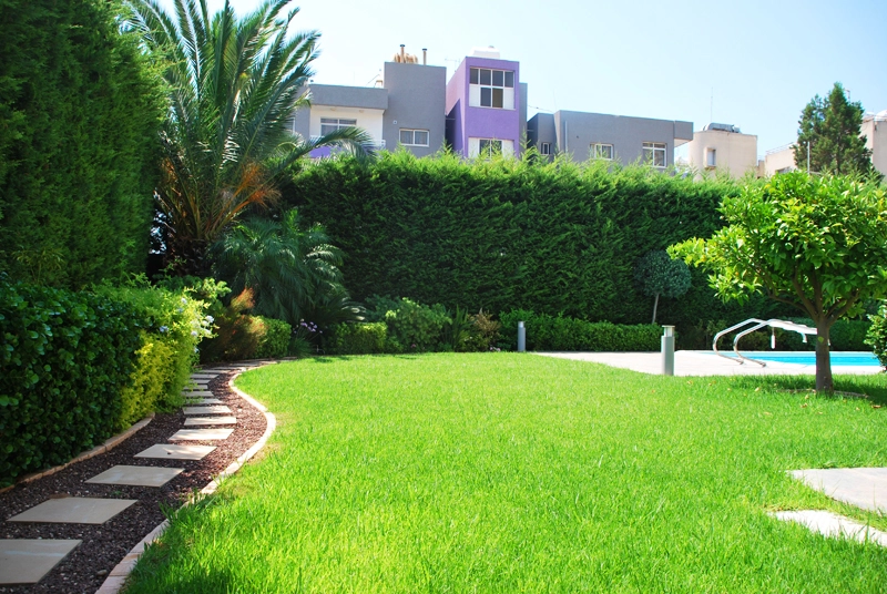 Green Forest - Cyprus' leading landscaping company - project063 3 2