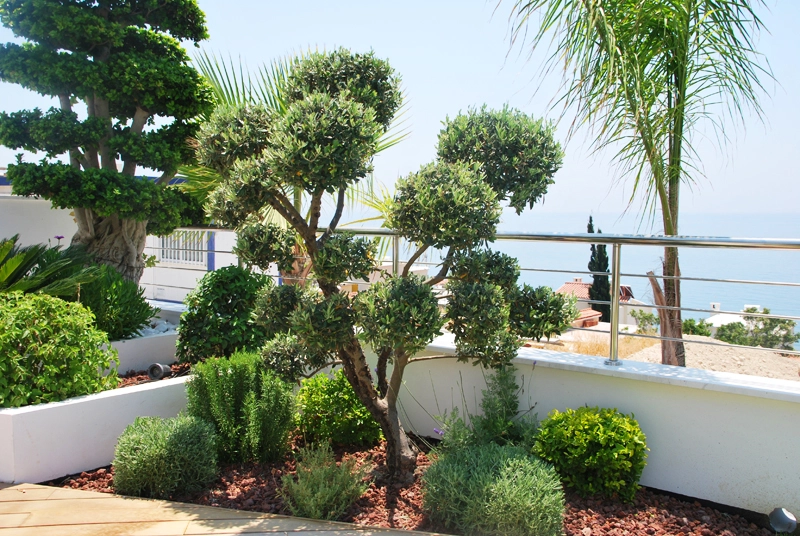 Green Forest - Cyprus' leading landscaping company - project065 10 2
