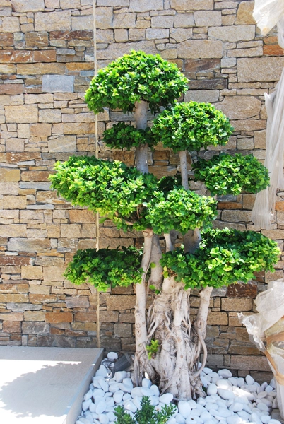 Green Forest - Cyprus' leading landscaping company - project065 12