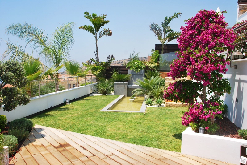 Green Forest - Cyprus' leading landscaping company - project065 2 2
