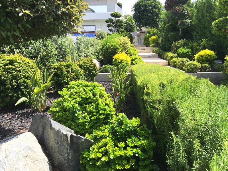 Green Forest - Cyprus' leading landscaping company - project067 11